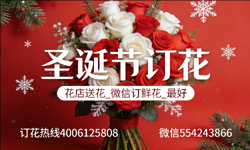 苏州工业园区花店送花_微信订鲜花_圣诞节订花_最好? 苏州工业园区花店